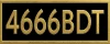 logo 4666BDT